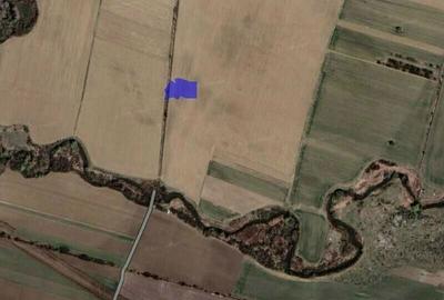 Teren de 5000 mp, în Vârteju - 2