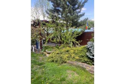 Casă individuală cu 5 camere cu Teren 273 Mp în Butimanu - 6