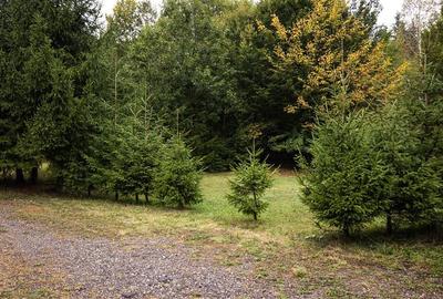 Casă individuală cu 4 camere cu Teren 2100 Mp în Exterior Est - 10