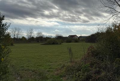 Teren intravilan de vanzare 35 ari, Sat Mogo?e?ti, co - 3