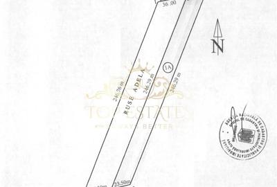 Vanzare teren intravilan zona industriala 5000 mp - Chiajna A1, Ilfov - 1