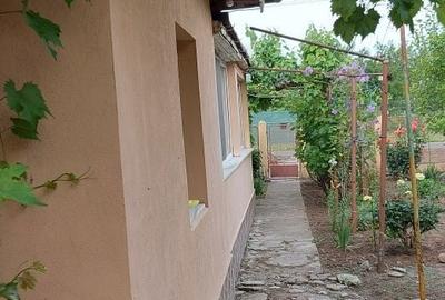 Casă cu 3 camere în Ianca - 1