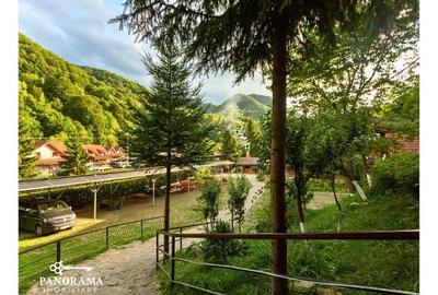 Afacere turistică ,,La Cheie" în inima Mărginimii Sibiului - 41