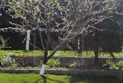 Casă individuală cu 3 camere cu Teren 300 Mp în Dezmir - 2