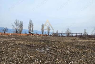 Teren de 57662 mp, în Popeni - 4