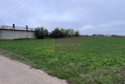 Teren Comana- strada Funieru. - 4