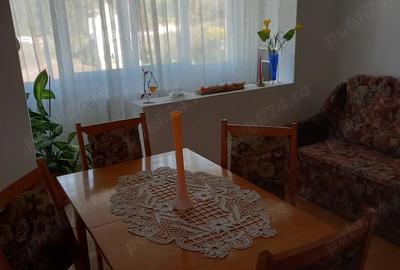 Apartament cu 3 camere semidecomandat în Govândari - 4