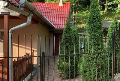Casă cu 3 camere în Pădurea Neagră - 4