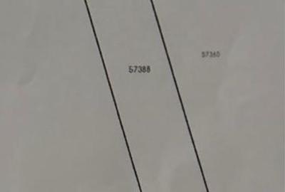 Spațiu comercial, în Proaspeți - 3