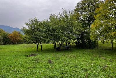 Spațiu comercial, în Hoteni - 3