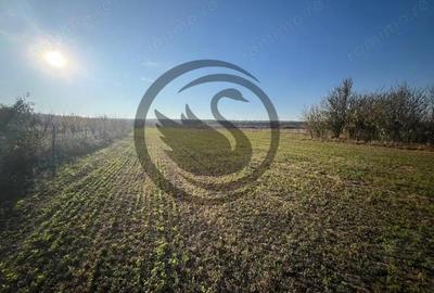 Teren de 12650 mp, în Ghirdoveni