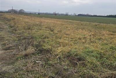 RECO Teren intravilan pentru casa Osorhei-Fughiu - 2