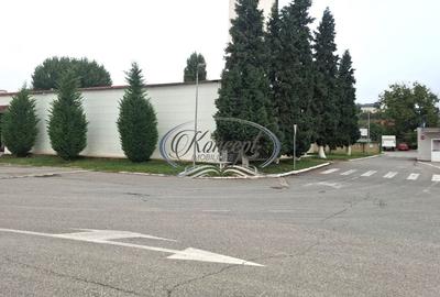 Hala ideala pentru productie sau logistica, pe Calea Baciului - 7