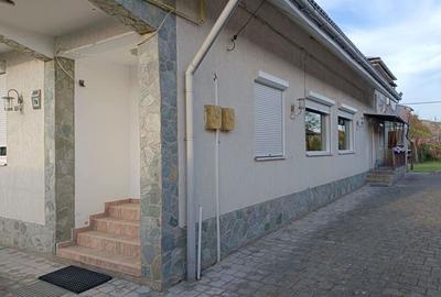 Casa de vanzare Otelu Rosu - 10