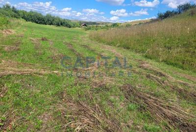 Teren de vanzare intravilan - Zona Sopor - 2