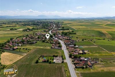 FILM! Casa personalizabila,2.700mp teren, pomi fructiferi,langa Sfantu Gheorghe: - 1