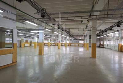 Hală de producție / depozitare – 1.300 mp utili, etaj 1, zona centrala - 3