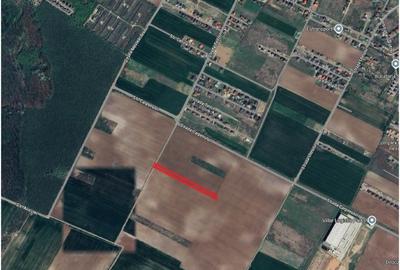 Teren agricol intravilan de 3000 mp, în Dragomirești-Vale