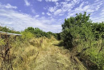Teren Intravilan Maracineni Arges Teren Intravilan Maracineni Arges - 2