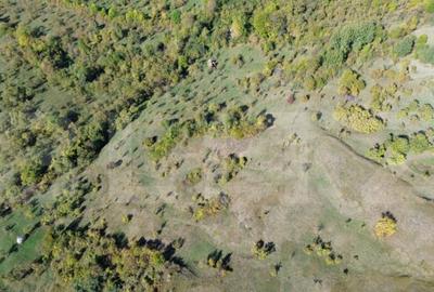 Teren extravilan, 41.631,00 mp, zona Pietrosita - 7