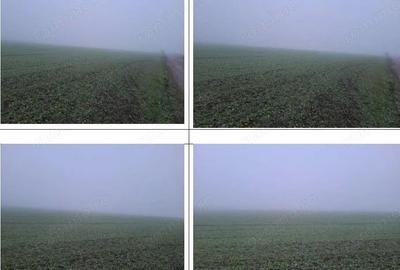 Teren extravilan arabil Troianul, ID: R2884553 - 3