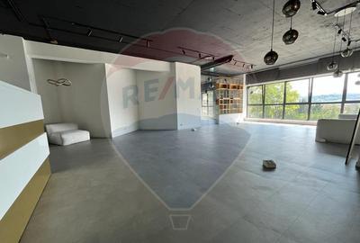 Spa?iu comercial Vanzare cu Chiriasi | Taietura Turcului - 5