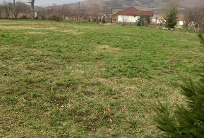 Teren de 2800 mp, în Blaj - 3