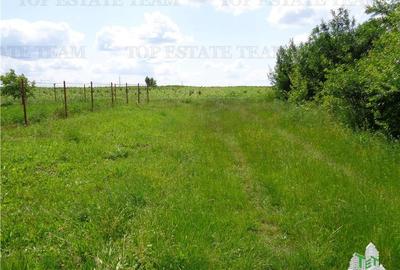 Vila de vanzare langa Dorohoi (Pascari), Botosani - 8