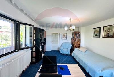 Casa cu Toate Utilitatile,Vedere Panoramica,Livada-Stefanesti, Arges - 19