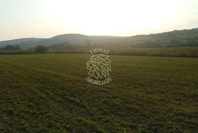 Teren agricol extravilan de 5500 mp, în Jelna - 3