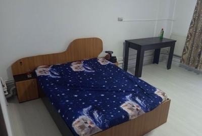 Garsonieră în Valea Rosie - 4