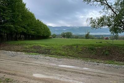 Teren de 2000 mp, în Sadu - 7