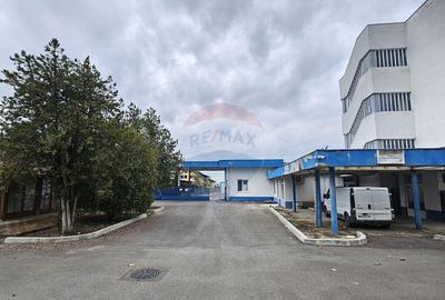 Spa?iu industrial de vanzare - 1