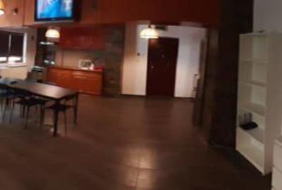 Apartament 2 camere Calea 13 Septembrie parter - 3