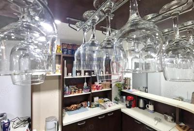 Domeniu Imobiliar de Elita: 14.000 mp Teren, Pensiune, SPA ?i Centru Evenimente - 12