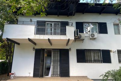 Iancu Nicolae vila 5 dormitoare gradina matura - 9