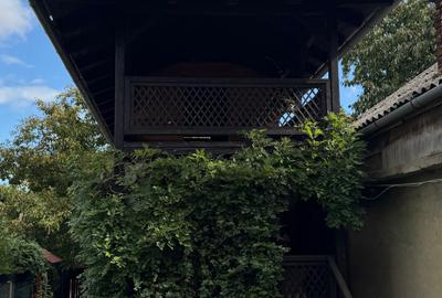 Casa de vinificatie in Viile Tieamului Carei - 7