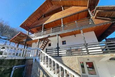 Spațiu comercial, de 400 mp, în Văliug - 2