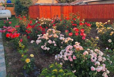 Casă în Perieni - 6