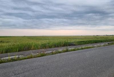 Teren de 30000 mp, în Filipeștii de Târg - 2