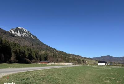 Spațiu comercial, în Plaiul Foii - 8