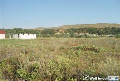 Teren intravilan in Floresti - 3