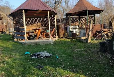 Casă cu 3 camere în Licurici - 1