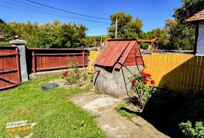 FILM! Doua case+anexe,rezidential/ comercial/de vacanta,Zagon,Covasna - 21