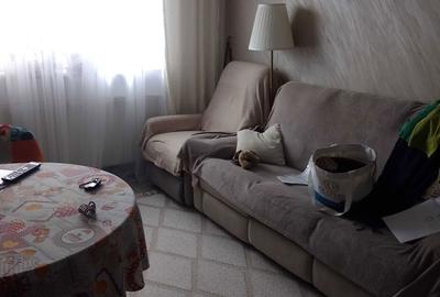Apartament cu 3 camere semidecomandat în Exterior Vest - 1