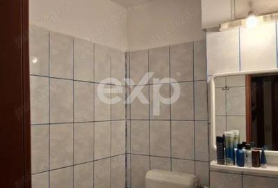 Apartament cu 3 camere decomandat în Banat - 9