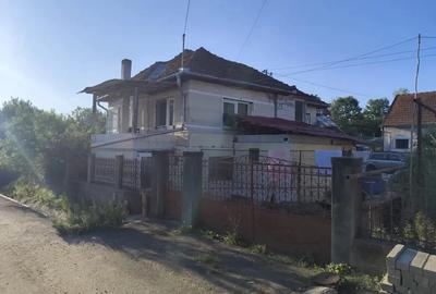 Casa ?i gradina de vanzare in Silva?u de Jos - Ha?eg HD. Rog citi?i descriere anun?ului ! 75 000 EU - 1