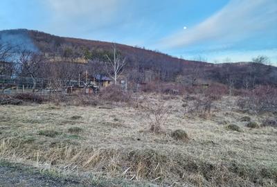 Teren Construcții intravilan de 4640 mp, în Periferie