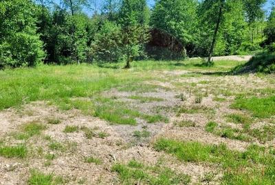 Teren agricol extravilan de 6725 mp, în Hoteni - 6