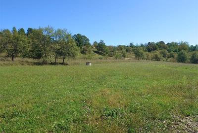 Teren Construcții intravilan de 8757 mp, în Luncoiu de Sus - 10